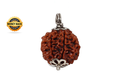 Nepal Origin 4 Mukhi Rudraksha_img