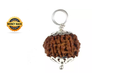 Nepal Origin 12 Mukhi Rudraksha_img