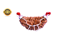 Ek Mukhi Rudraksha_img