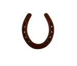 Iron Horse Shoe Ring_img