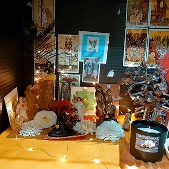 Gallery photo 7