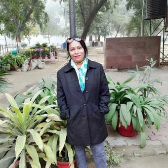 Gallery photo 6