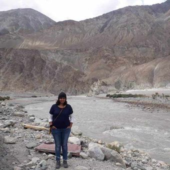 Gallery photo 8