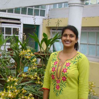 Gallery photo 2