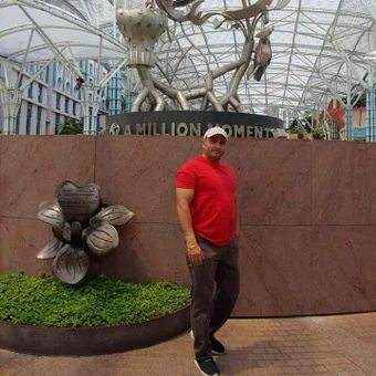 Gallery photo 8
