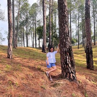 Gallery photo 2