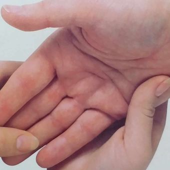 Gallery photo 5