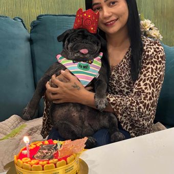 Gallery photo 1
