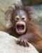 Assign_3_test4426